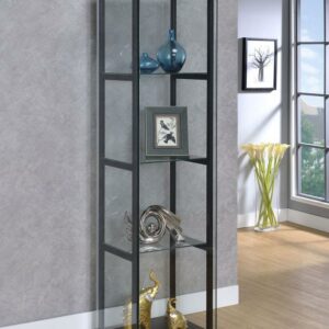 4-shelf Glass Curio Cabinet Black and Clear