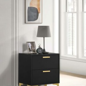 Kendall 2-Drawer Nightstand Black and Gold