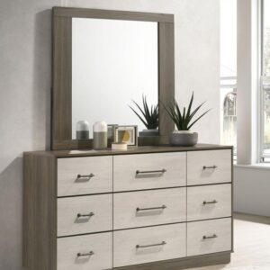 Fenwick Dresser and Mirror
